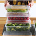 Pack of 6 Veggie Fresh Food Storage Container with Lid & Drain Tray (6VF1)