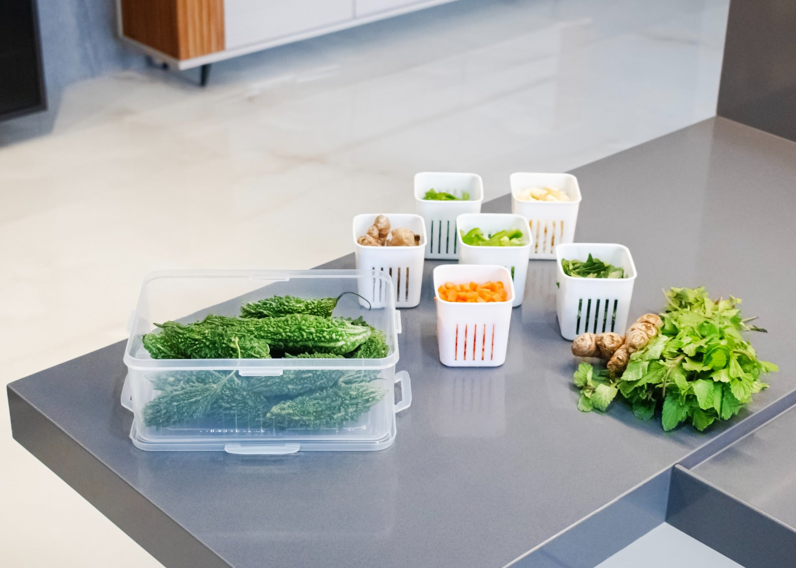 Veggie Fresh Fridge Storage Box (vfsb1)
