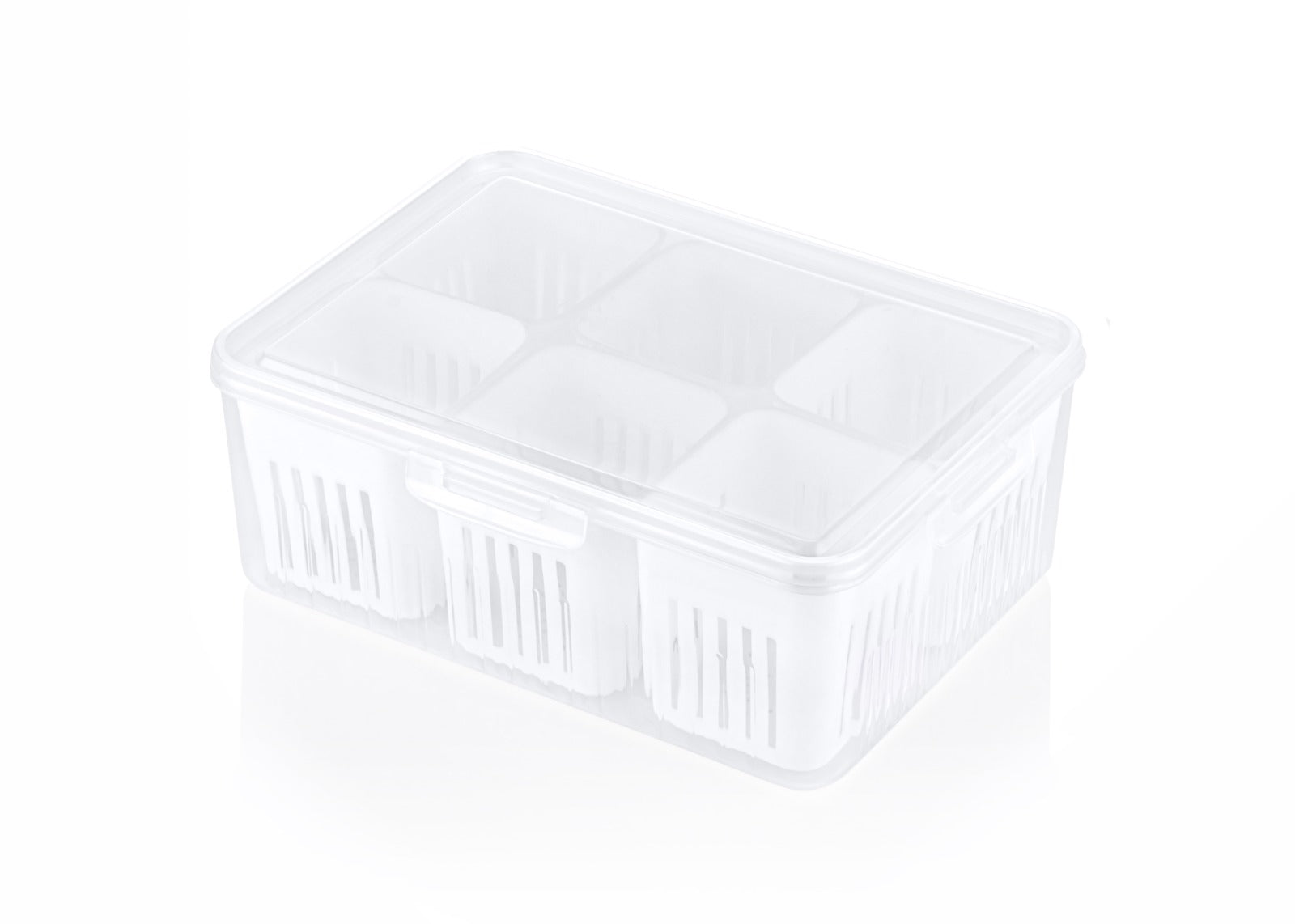 Veggie Fresh Fridge Storage Box (vfsb1)